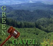 Michigan court refuses to reinstate lawsuit over runaway carriage horse at Greenfield Village  