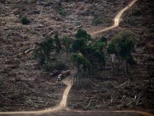 Dyer: Climate change dangerously out of fashion