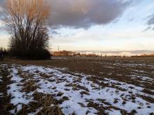 Micro-shelter plan moves ahead as survey flags homelessness as top issue