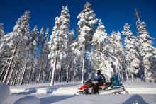 Upgrades coming to Ontario cottage region snowmobiling trails in 2025